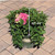 Hydrangea macrophylla Pink Elf 169318