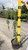  Cedrus atlantica Glauca Pendula 230634 