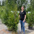 Thuja plicata Virescens 242951