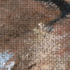 Baby goat painting close-up of appearance of burlap texture