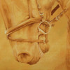 Dressage horse painting close-up of the nose and bit