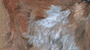 Baby goat on burlap close-up of the body
