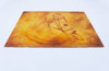 Dressage horse painting viewed from the top