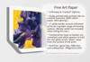 Iris painting fine art sample print
