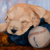 painting of a golden retriever puppy sleeping in a baseball cap with a baseball and mitt