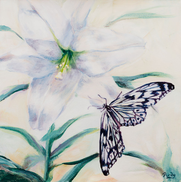 acrylic painting of a white lily and a butterfly