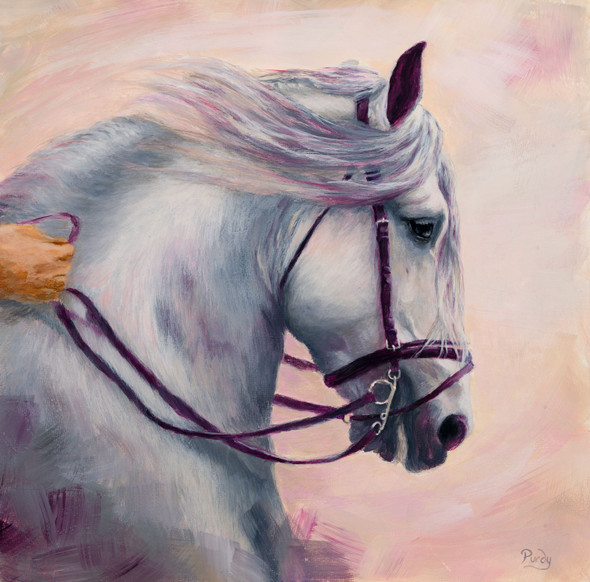 acrylic painting of a grey horse head