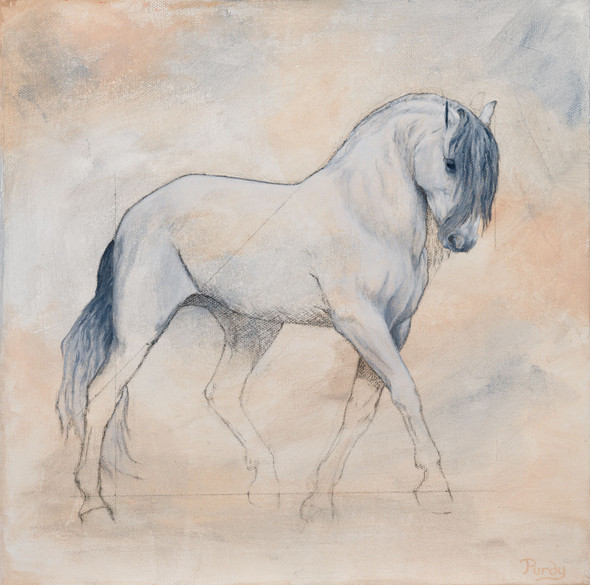 acrylic original painting of an Andalusian horse in a minimalist sketch style