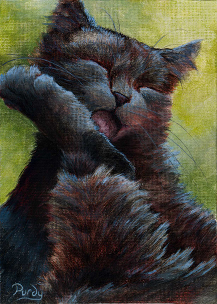 acrylic painting of a black cat kitten cleaning its toes