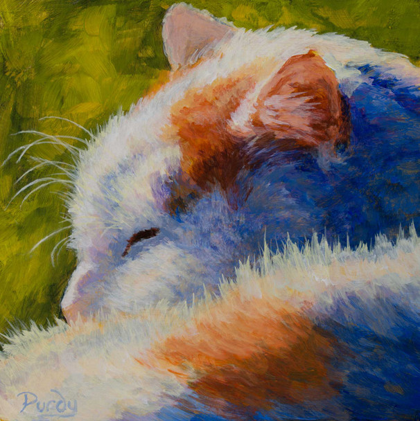 painting of a calico cat sleeping in the sun