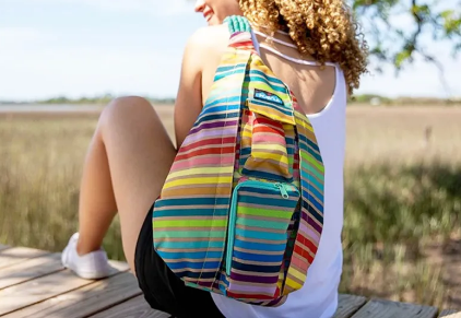 Sport kites, selection, travel, beach, entertainment, windy, In The Breeze, Prism Designs