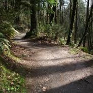 Forest Park Trail Map - Forestpark 25924.1666769444