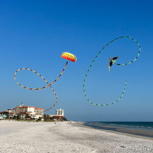 Kite Tube Tail 20' B&W