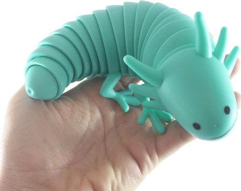 Sensory Axolotl