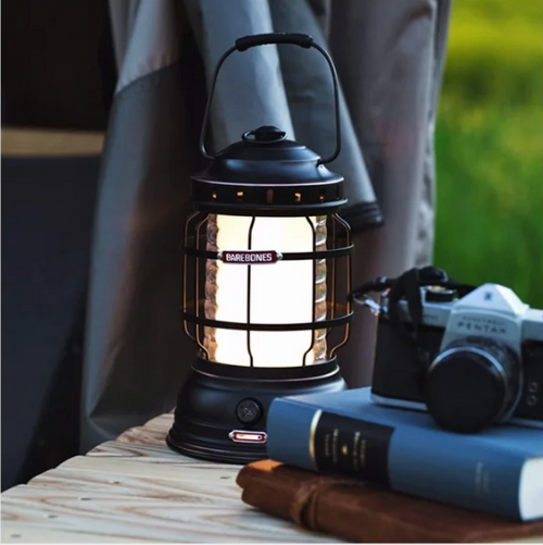 Forest Lantern - Antique Bronze