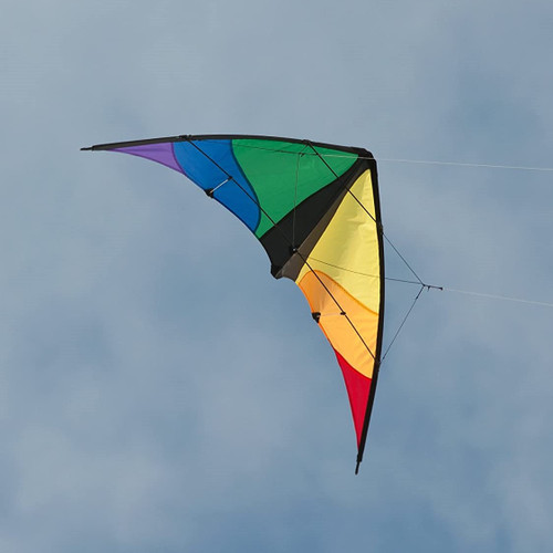 Colorwave Stunt Kite