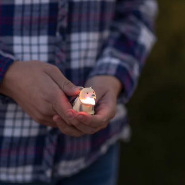 Wildlight