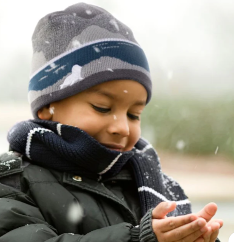 Kids' Graphic Series Beanie - Arctic Seal M/L