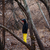 Rain Pants (2T-14/15)