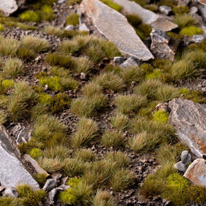 Gamers Grass Mixed Green - 6mm Small Tuft (Wargame / Model Basing) Gamers Grass Mixed Green - 6mm Small Tuft (Wargame / Model Basing)