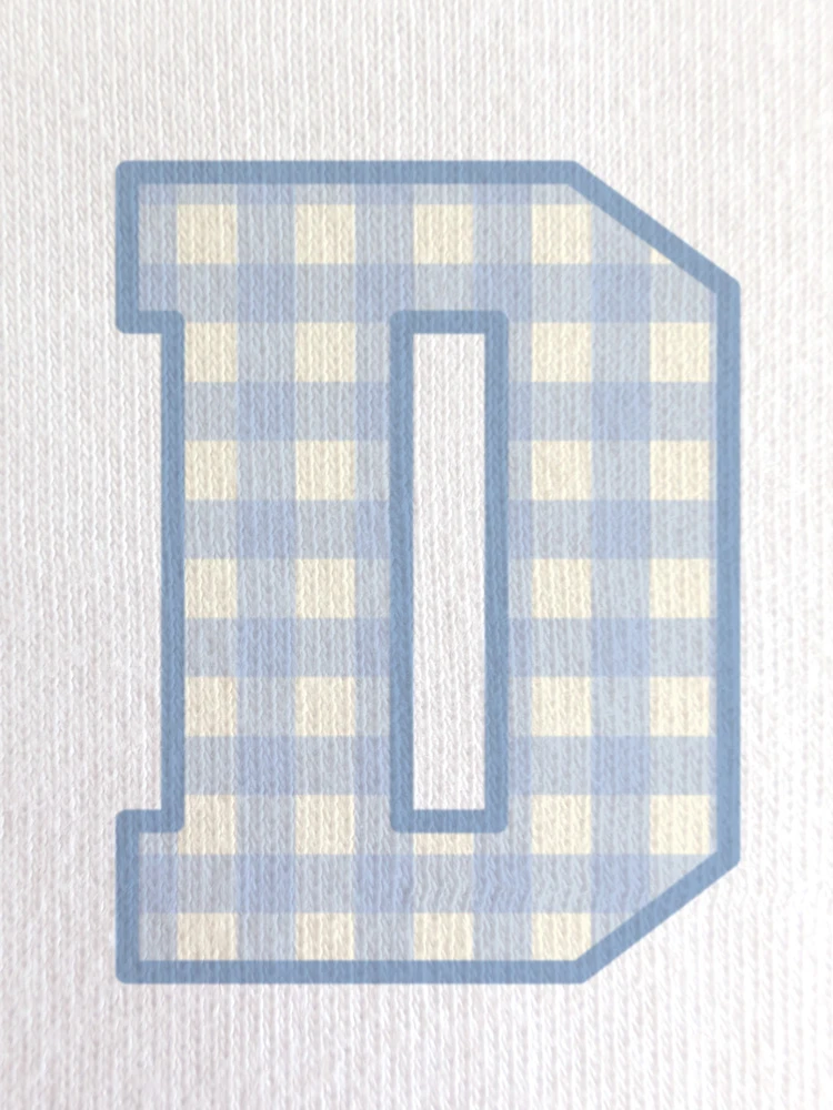 Close-up of the gingham print within the ‘D’, showcasing soft blue tones and a classic check pattern