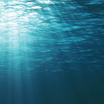 Ocean
