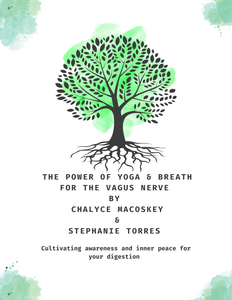 Unlock the transformative potential of yoga and breathwork with our ebook, "The Power of Yoga and Breath for the Vagus Nerve." Dive into a comprehensive guide that explores the profound impact of these practices on your vagus nerve health. Learn techniques to enhance relaxation, reduce stress, and foster overall well-being. Elevate your mind-body connection and embark on a journey to harness the innate power within you for a healthier vagus nerve and a more balanced life
Unlock the transformative potential of yoga and breathwork with our ebook, "The Power of Yoga and Breath for the Vagus Nerve." Dive into a comprehensive guide that explores the profound impact of these practices on your vagus nerve health. Learn techniques to enhance relaxation, reduce stress, and foster overall well-being. Elevate your mind-body connection and embark on a journey to harness the innate power within you for a healthier vagus nerve and a more balanced life