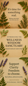 Wellness Wisdom Sanctuary  Wellness Wisdom Sanctuary