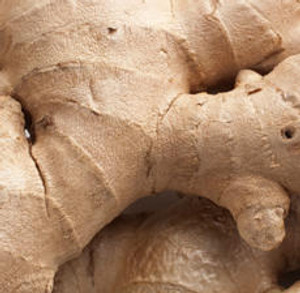 Ginger Root, Steamed, Fresh Ginger Root, Steamed, Fresh