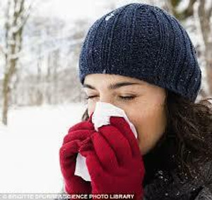 Winter Blues Essential Oil Collection Winter Blues Essential Oil Collection