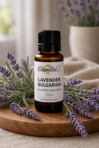 Essential7 Lavender Bulgarian essential oil, Lavandula angustifolia, in a 15ml amber glass bottle surrounded by fresh purple lavender flowers.
