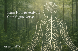 Vagus Nerve Reset: How to Calm the Chaos and Restore Gut & Emotional Balance