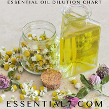 Essential Oil Dilution Guidelines  Essential Oil Dilution Guidelines