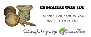 Everything You Need To Know About Essential Oils Everything You Need To Know About Essential Oils