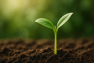 Healing GP Naturally Has Evolved — Welcome to Our New Home Healing GP Naturally Has Evolved — Welcome to Our New Home