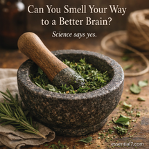 Can You Smell Your Way to a Better Brain?