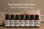 Digestive Support Essential Oil Blend Collection 30ml | GastroEase | Essential7