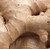 Ginger Root, Steamed, Fresh Ginger Root, Steamed, Fresh