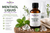 Essential7 Menthol Liquid for Formulators displayed in an amber glass bottle surrounded by fresh peppermint leaves and menthol crystals, representing a professional pre-stabilized cooling base for custom aromatherapy and topical formulations.