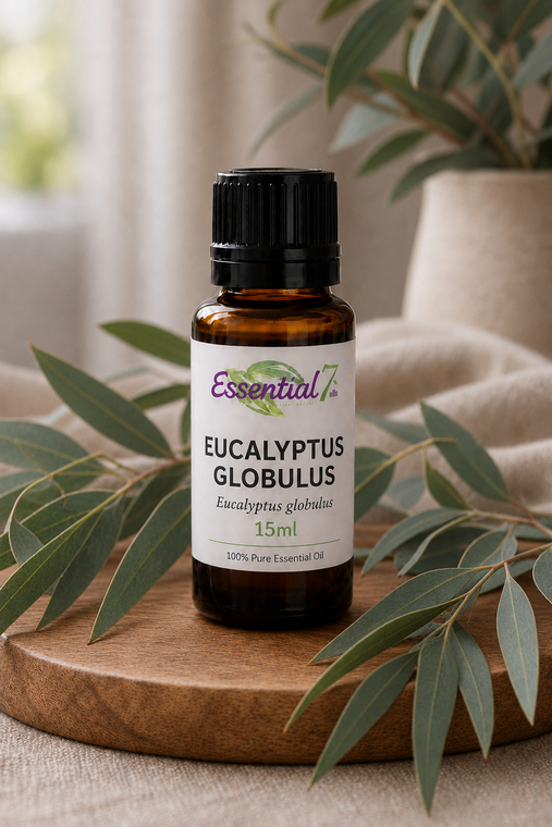 Essential7 Eucalyptus Globulus essential oil in an amber glass bottle with a black cap, displayed on a natural wooden stand and surrounded by fresh eucalyptus leaves in warm, softly diffused light.
