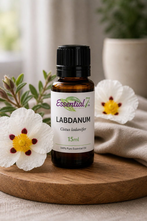 Labdanum essential oil bottle by Essential7, resin-based aromatic oil for grounding and perfumery use