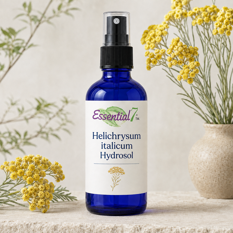 Cobalt-blue spray bottle of Helichrysum italicum Hydrosol with the Essential7 purple-and-green logo, surrounded by yellow helichrysum flowers in a softly lit botanical setting.