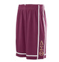 Deference Clothing® compatible with Delta Sigma Theta Clothing® Chapter 32 Basketball Shorts