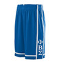 Deference Clothing® compatible with Phi Beta Sigma Clothing® Chapter 32 Basketball Shorts