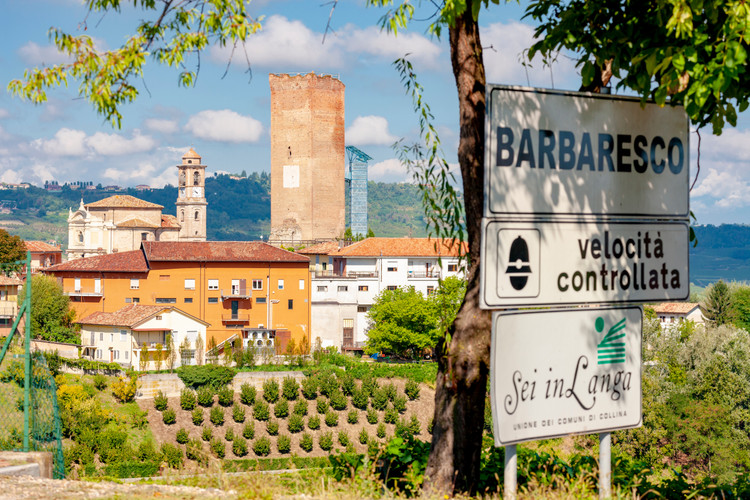 Nebbiolo and beyond: Piedmont’s diverse grape offerings