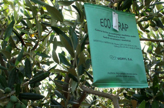 Eco-Trap : A non-toxic and environmental safe way Eco-Trap : A non-toxic and environmental safe way