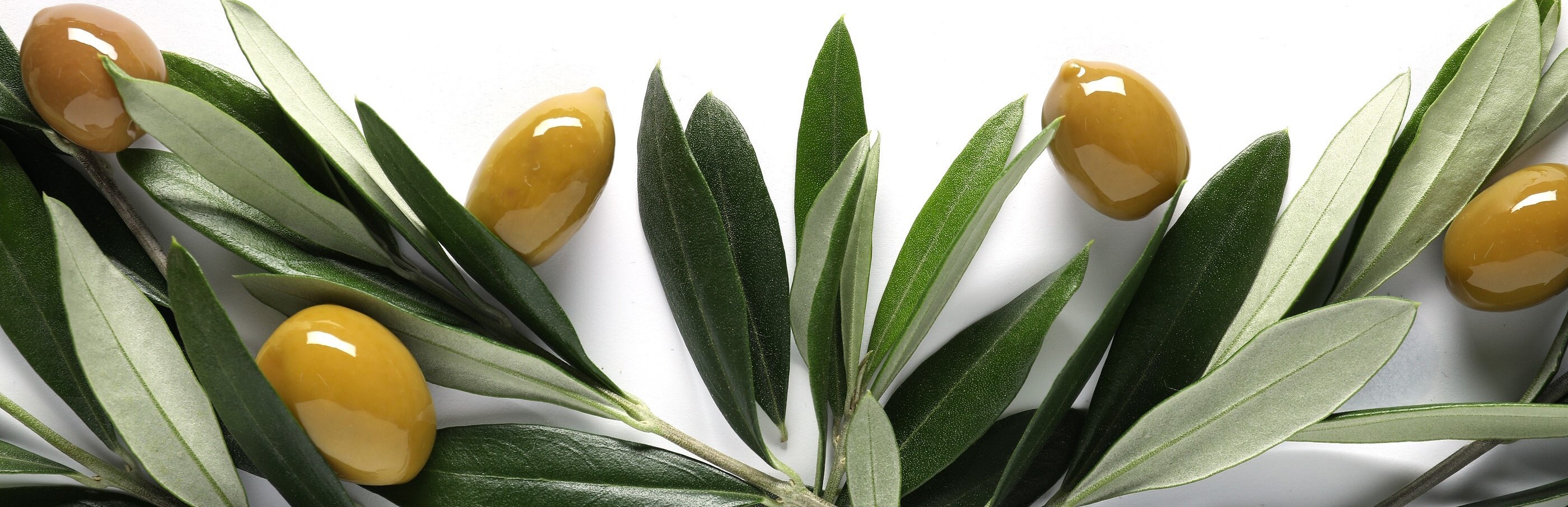 Organic Olive Oils