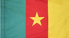 Cameroon - Flag with Pole Sleeve
