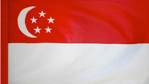 Singapore - Flag with Pole Sleeve