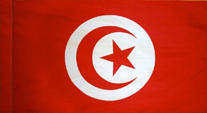 Tunisia - Flag with Pole Sleeve